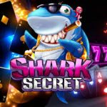 Shark Secret 777